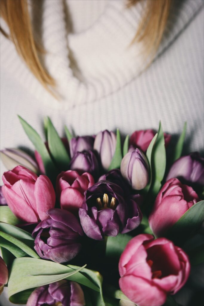 tulipes flowers